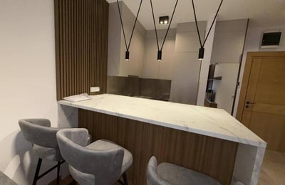 Vermietung einer gemütlichen 2-Zimmer-Wohnung, 50 m², Vračar, Belgrad, Serbien